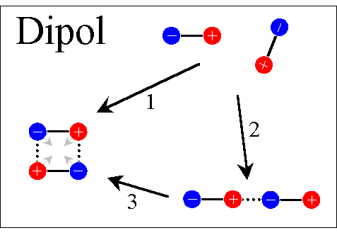 Dipol