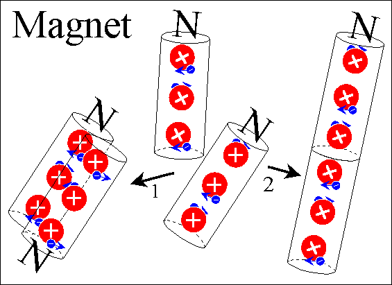 Magnet